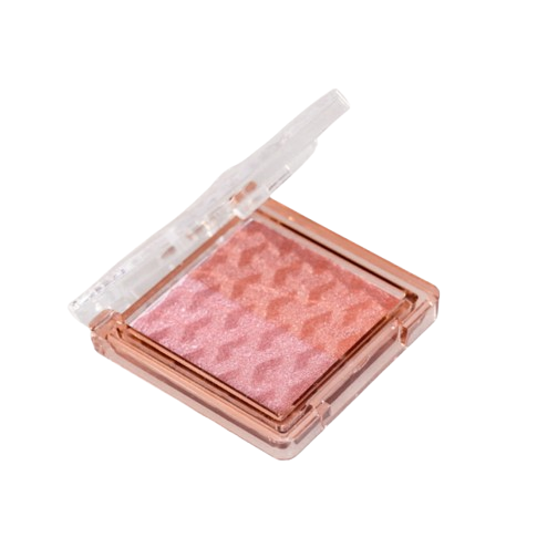 RUBOR SATINADO DUO SAGUI REF 618 DIS X24