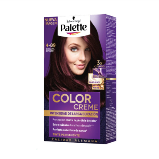 TINTURA BORGOÑA INTENSO 4-89 PALETTE