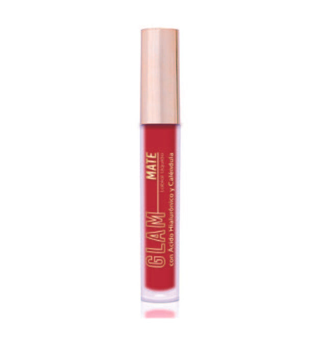 LABIAL LIQUIDO LIGNE DOR MATE  X 3.5 g RUBY